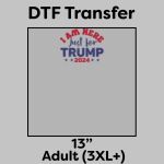 DTF Transfer 13" Thumbnail